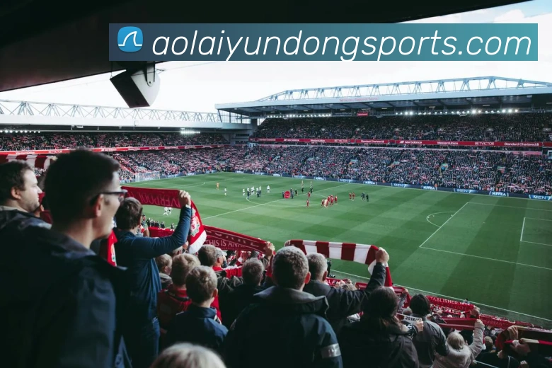 zoty中欧发展历程